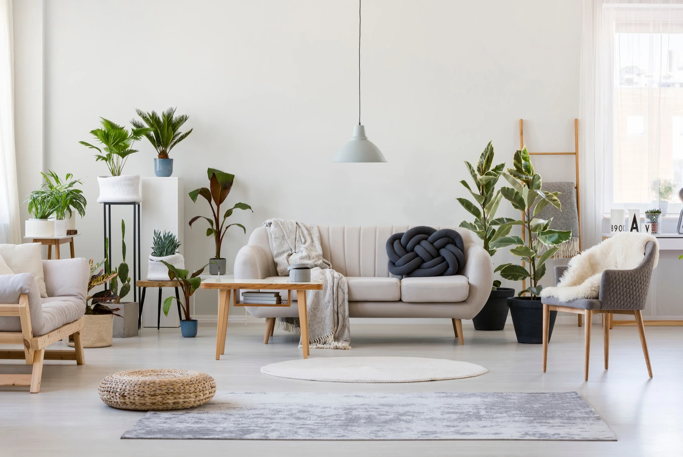 Home & Lifestyle
